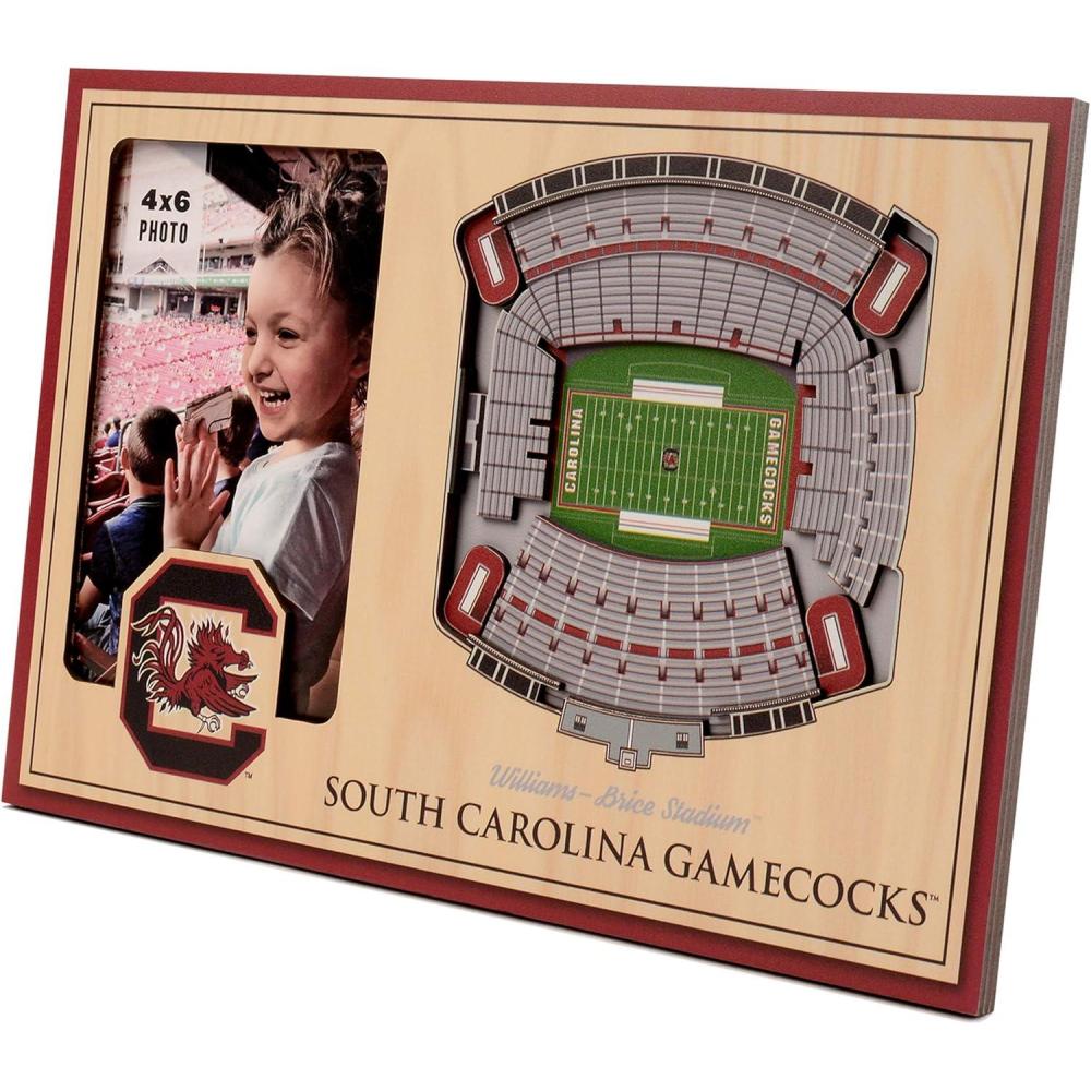 imageYouTheFan NCAA 3D StadiumView Picture FrameSouth Carolina Gamecocks