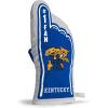 YouTheFan NCAA #1 Oven Mitt(Kentucky Wildcats)