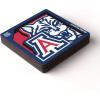 YouTheFan NCAA 3D Logo Series Magnet(Arizona Wildcats)