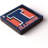 YouTheFan NCAA 3D Logo Series Magnet(Illinois Fighting Illini)