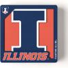 YouTheFan NCAA 3D Logo Series Magnet(Illinois Fighting Illini)