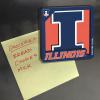YouTheFan NCAA 3D Logo Series Magnet(Illinois Fighting Illini)