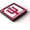 YouTheFan NCAA 3D Logo Series Magnet(Indiana Hoosiers)