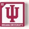 YouTheFan NCAA 3D Logo Series Magnet(Indiana Hoosiers)