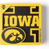 YouTheFan NCAA 3D Logo Series Magnet(Iowa Hawkeyes)