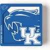 YouTheFan NCAA 3D Logo Series Magnet(Kentucky Wildcats)