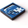 YouTheFan NCAA 3D Logo Series Magnet(Kentucky Wildcats)