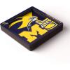 YouTheFan NCAA 3D Logo Series Magnet(Michigan Wolverines)