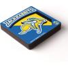 YouTheFan NCAA 3D Logo Series Magnet(South Dakota State Jackrabbits)