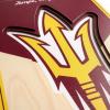 YouTheFan NCAA 3D StadiumView 8×32 Banner(Arizona State Sun Devils)