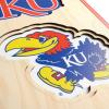 YouTheFan NCAA 3D StadiumView 8×32 Banner(Kansas Jayhawks)