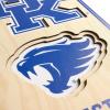 YouTheFan NCAA 3D StadiumView 8×32 Banner(Kentucky Wildcats)