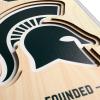 YouTheFan NCAA 3D StadiumView 8×32 Banner(Michigan State Spartans)