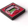 YouTheFan NCAA 3D StadiumView Magnet(Arkansas Razorbacks)