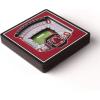 YouTheFan NCAA 3D StadiumView Magnet(South Carolina Gamecocks)