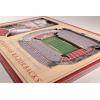 YouTheFan NCAA 3D StadiumView Picture Frame(Arkansas Razorbacks)