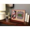 YouTheFan NCAA 3D StadiumView Picture Frame(Arkansas Razorbacks)