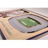 YouTheFan NCAA 3D StadiumView Picture Frame(Auburn Tigers)