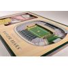 YouTheFan NCAA 3D StadiumView Picture Frame(Baylor Bears)