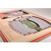 YouTheFan NCAA 3D StadiumView Picture Frame(Clemson Tigers)
