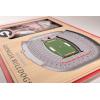 YouTheFan NCAA 3D StadiumView Picture Frame(Georgia Bulldogs)