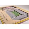 YouTheFan NCAA 3D StadiumView Picture Frame(Iowa Hawkeyes)