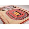 YouTheFan NCAA 3D StadiumView Picture Frame(Louisville Cardinals)
