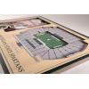 YouTheFan NCAA 3D StadiumView Picture Frame(Michigan State Spartans)