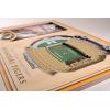 YouTheFan NCAA 3D StadiumView Picture Frame(Missouri Tigers)