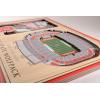 YouTheFan NCAA 3D StadiumView Picture Frame(NC State Wolfpack)