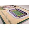 YouTheFan NCAA 3D StadiumView Picture Frame(North Dakota State Bison)