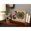 YouTheFan NCAA 3D StadiumView Picture Frame(Notre Dame Fighting Irish)