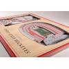 YouTheFan NCAA 3D StadiumView Picture Frame(Ohio State Buckeyes)