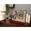 YouTheFan NCAA 3D StadiumView Picture Frame(Purdue Boilermakers FB)