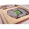 YouTheFan NCAA 3D StadiumView Picture Frame(South Carolina Gamecocks)