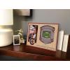 YouTheFan NCAA 3D StadiumView Picture Frame(South Carolina Gamecocks)