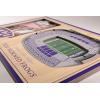 YouTheFan NCAA 3D StadiumView Picture Frame(TCU Horned Frogs)