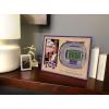 YouTheFan NCAA 3D StadiumView Picture Frame(TCU Horned Frogs)