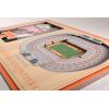 YouTheFan NCAA 3D StadiumView Picture Frame(Tennessee Volunteers)