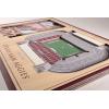 YouTheFan NCAA 3D StadiumView Picture Frame(Texas A&M Aggies)