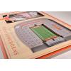 YouTheFan NCAA 3D StadiumView Picture Frame(Texas Longhorns)