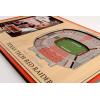 YouTheFan NCAA 3D StadiumView Picture Frame(Texas Tech Red Raiders)