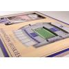 YouTheFan NCAA 3D StadiumView Picture Frame(Washington Huskies)