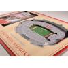 YouTheFan NCAA 3D StadiumView Picture Frame(Wisconsin Badgers)