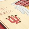 YouTheFan NCAA Alabama Crimson Tide 5-Layer StadiumView 3D Wall Art – Bryant-Denny Stadium(Indiana Hoosiers)