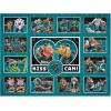 YouTheFan NCAA Appalachian State Mountaineers Kiss Cam 500pc Puzzle(Coastal Carolina Chanticleers)