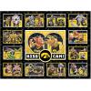 YouTheFan NCAA Appalachian State Mountaineers Kiss Cam 500pc Puzzle(Iowa Hawkeyes)