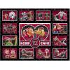 YouTheFan NCAA Appalachian State Mountaineers Kiss Cam 500pc Puzzle(South Carolina Gamecocks)