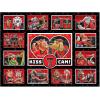 YouTheFan NCAA Appalachian State Mountaineers Kiss Cam 500pc Puzzle(Texas Tech Red Raiders)