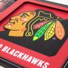 YouTheFan NHL 3D Logo Picture Frame(Chicago Blackhawks)